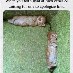 Meet your Posher, Tran